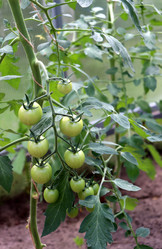 Similar image 21868450