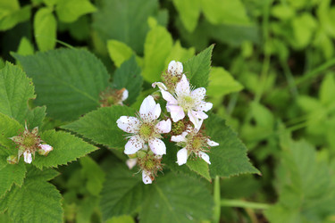 Similar image 21868451