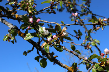 Similar image 21868452