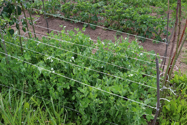 Similar image 21868453