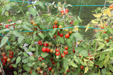 Similar image 21868454