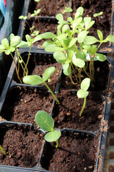 Similar image 21868456