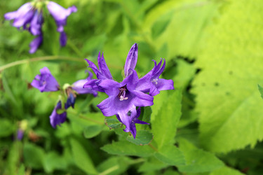 Similar image 21868457