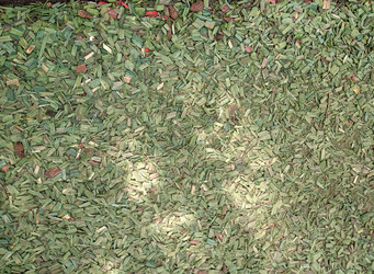 Similar image 21868458