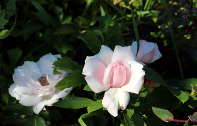 Similar image 21868459