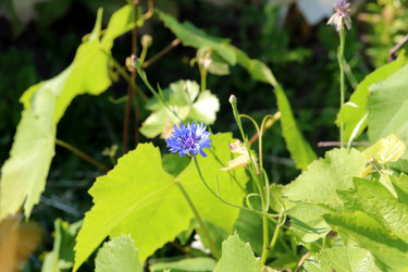 Similar image 21868460