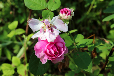 Similar image 21868461