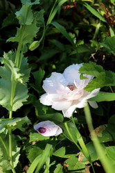 Similar image 21868463