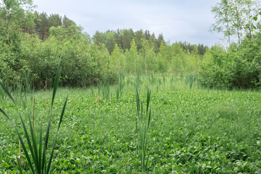 Similar image 21868904