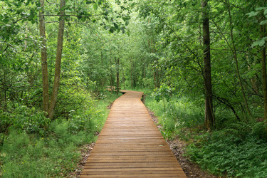 Similar image 21868905