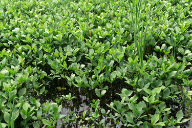 Similar image 21868906