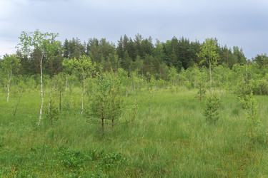 Similar image 21868908