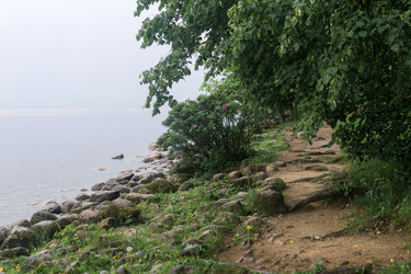 Similar image 21868913