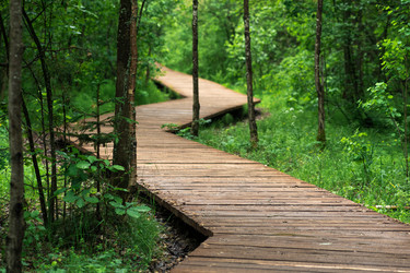 Similar image 21868915