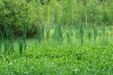 Similar image 21868916