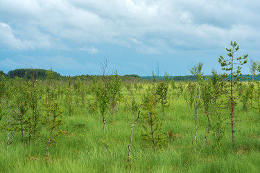 Similar image 21868918