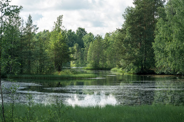 Similar image 21868922