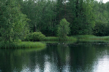 Similar image 21868923