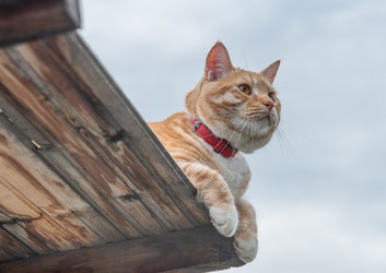 Similar image 21868394