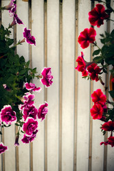 Similar image 21871715