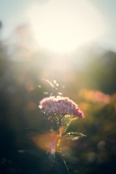 Similar image 21871716