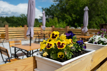 Similar image 21871827