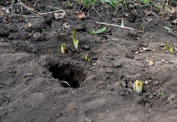 Similar image 21871832