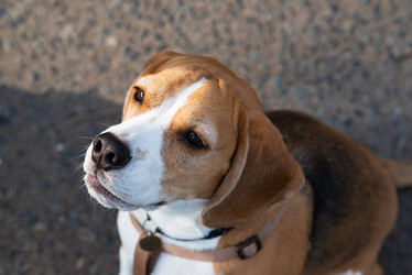 Similar image 21871833