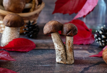 Similar image 21871837