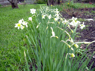 Similar image 21873181