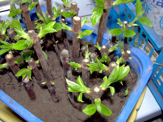 Similar image 21873182