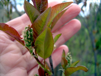 Similar image 21873183