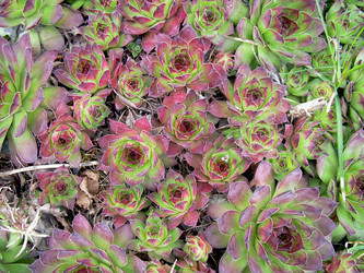 Similar image 21873190