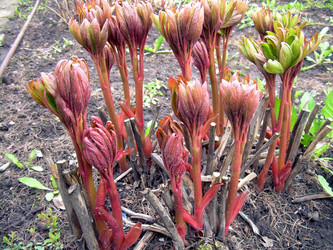 Similar image 21873192