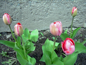 Similar image 21873193