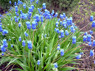 Similar image 21873194