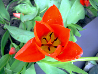 Similar image 21873195