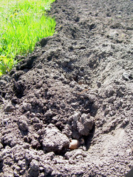 Similar image 21873196