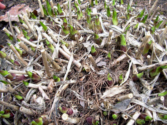 Similar image 21873198