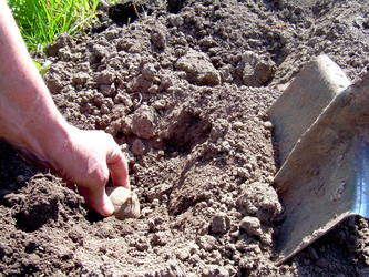 Similar image 21873200