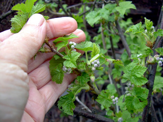 Similar image 21873201