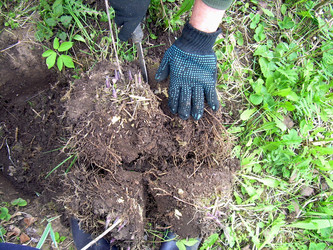 Similar image 21873203