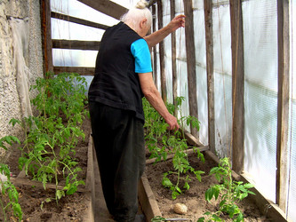 Similar image 21873206