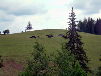 Similar image 21873207