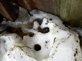 Similar image 21873209