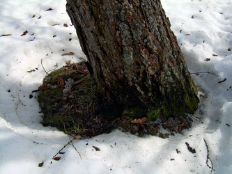 Similar image 21873290