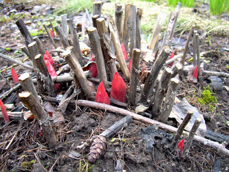 Similar image 21873291