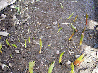 Similar image 21873292