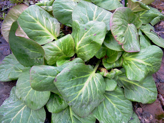 Similar image 21873293