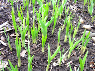 Similar image 21873294